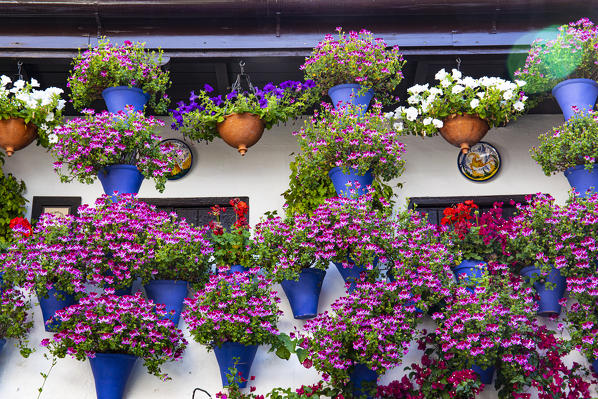 Interior of a patio in the city of Cordoba, Andalusia, Spain.
