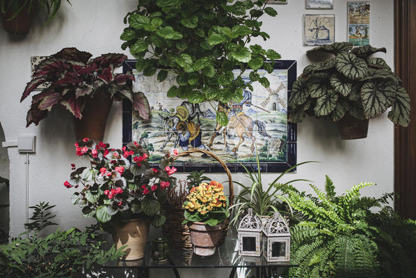 Interior of a patio in the city of Cordoba, Andalusia, Spain.