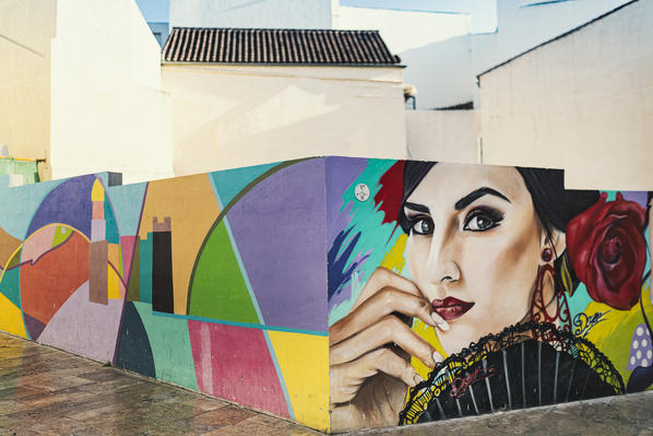 Street art in Malaga old town, Andalusia, Spain.