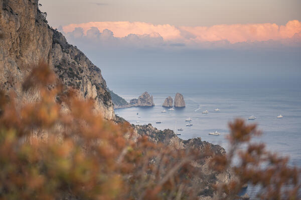 Faraglioni cliffs during sunset. Capri island, Campania, Italy