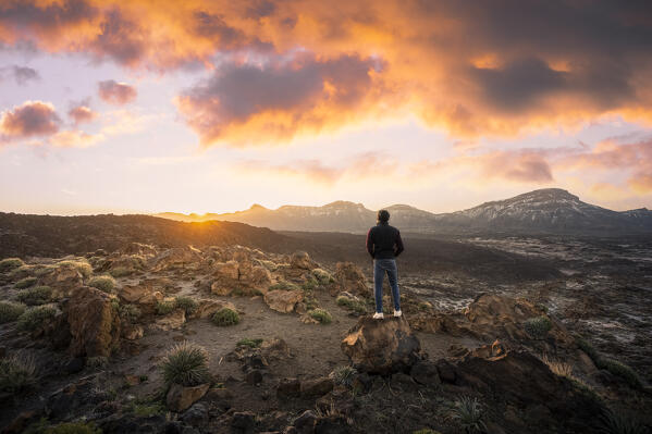 Sunrise in Teide National Park with Teide Caldera. Tenerife, Canary Islands, Spain