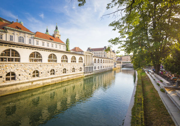 Ljubljanica river, Ljubljiana, Osrednjeslovenska, Slovenia.