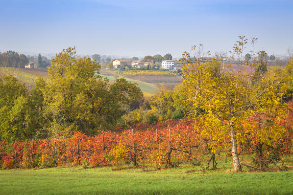 The countryside near Castelvetro, Modena Province, Emilia Romagna, Italy