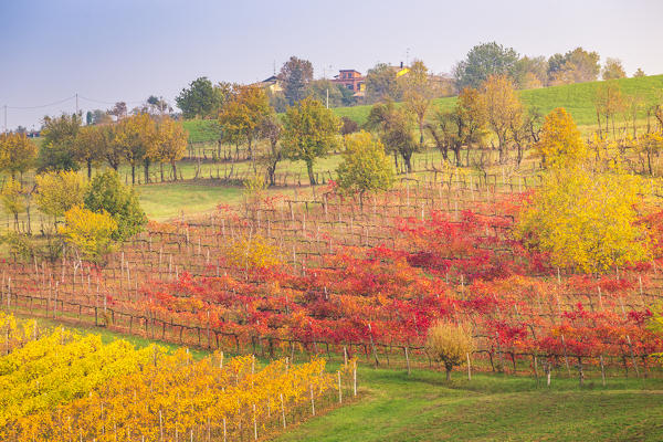 The countryside near Castelvetro, Modena Province, Emilia Romagna, Italy