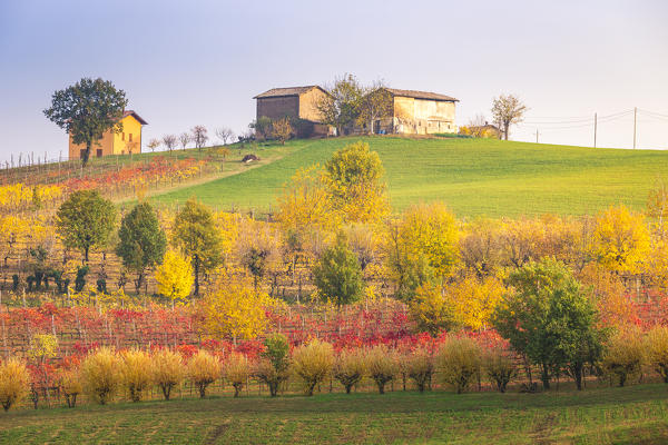 The countryside near Castelvetro, Modena Province, Emilia Romagna, Italy