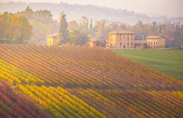 The countryside near Castelvetro, Modena Province, Emilia Romagna, Italy