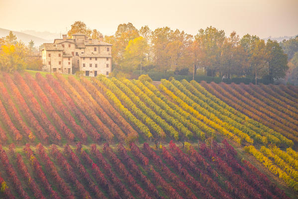 The countryside near Castelvetro, Modena Province, Emilia Romagna, Italy