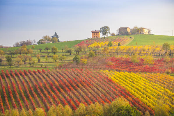 The countryside near Castelvetro, Modena Province, Emilia Romagna, Italy