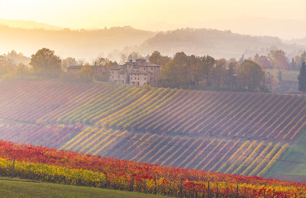 The countryside near Castelvetro, Modena Province, Emilia Romagna, Italy