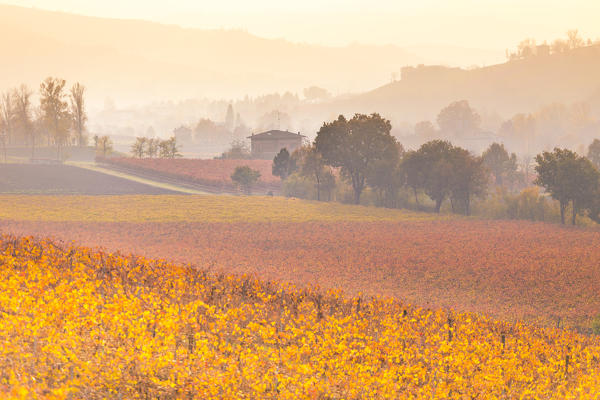 The countryside near Castelvetro, Modena Province, Emilia Romagna, Italy