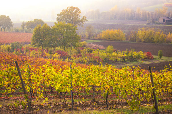 The countryside near Castelvetro, Modena Province, Emilia Romagna, Italy