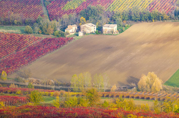 The countryside near Castelvetro, Modena Province, Emilia Romagna, Italy