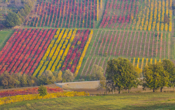 The countryside near Castelvetro, Modena Province, Emilia Romagna, Italy