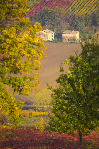 The countryside near Castelvetro, Modena Province, Emilia Romagna, Italy