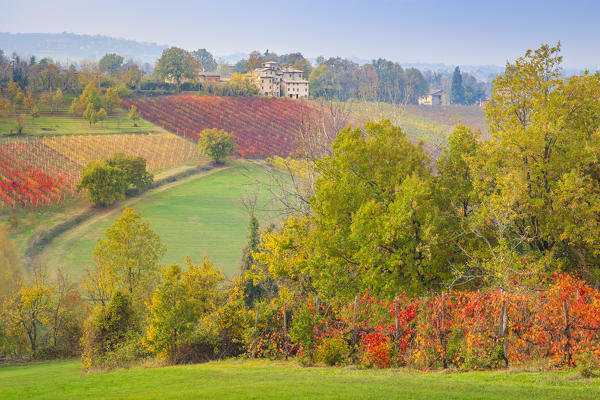 The countryside near Castelvetro, Modena Province, Emilia Romagna, Italy