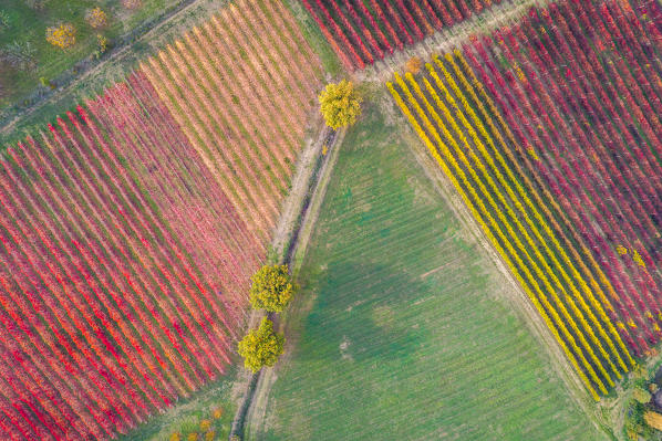 The countryside near Castelvetro, Modena Province, Emilia Romagna, Italy