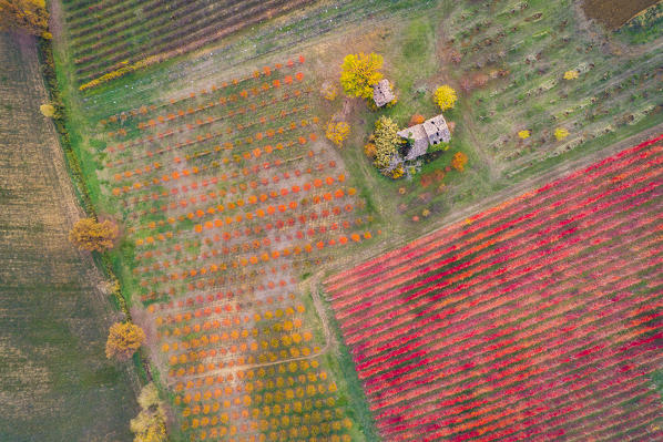 The countryside near Castelvetro, Modena Province, Emilia Romagna, Italy