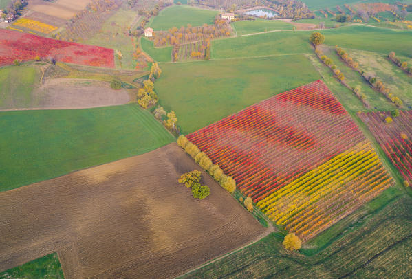 The countryside near Castelvetro, Modena Province, Emilia Romagna, Italy