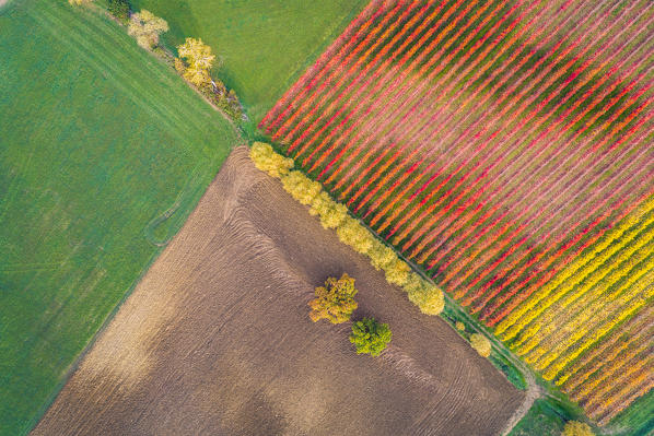 The countryside near Castelvetro, Modena Province, Emilia Romagna, Italy