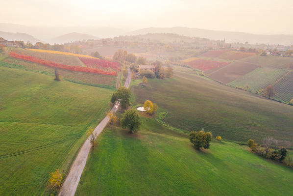 The countryside near Castelvetro, Modena Province, Emilia Romagna, Italy