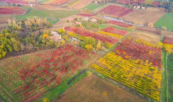 The countryside near Castelvetro, Modena Province, Emilia Romagna, Italy