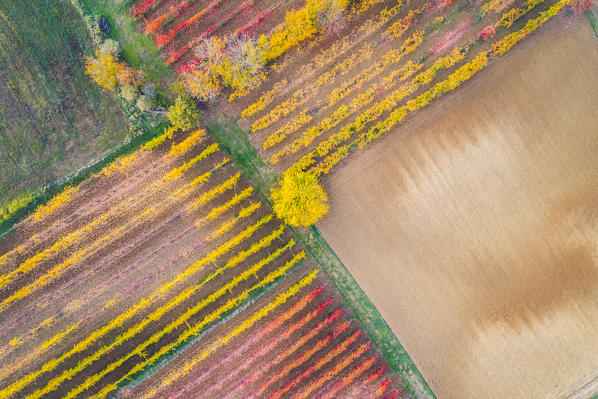 The countryside near Castelvetro, Modena Province, Emilia Romagna, Italy