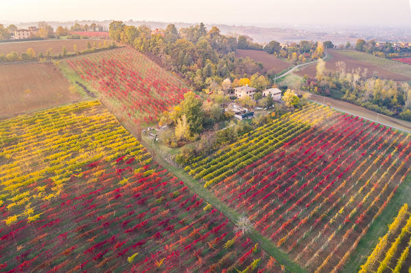 The countryside near Castelvetro, Modena Province, Emilia Romagna, Italy