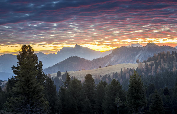 Passo delle Erbe, Bolzano Province, Trentino Alto Adige, Italy