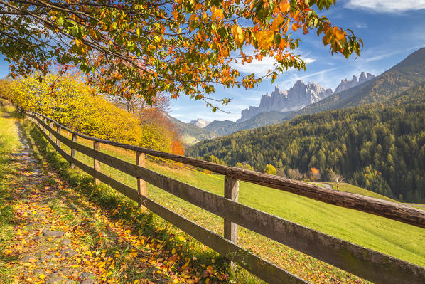 Odle Mountain view from Funes Valley, with cherry trees and a clear blue sky. Funes Valley, Bolzano Province, Trentino Alto Adige, Italy