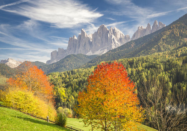 Odle Mountain view from Funes Valley, with cherry trees and a clear blue sky. Funes Valley, Bolzano Province, Trentino Alto Adige, Italy
