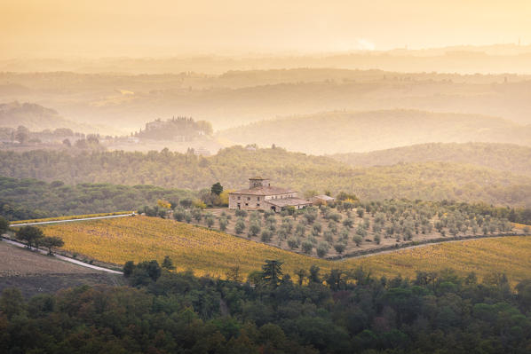 Vineyards during autumn near Gaiole in Chianti, Florence province, Tuscany, Italy