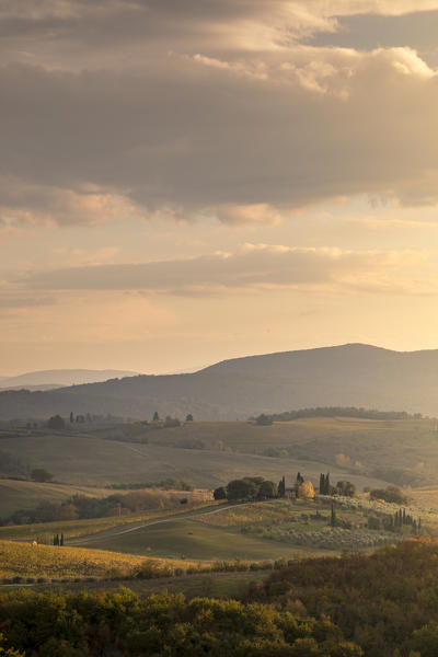 Vineyards near Castellina in Chianti during autumn season. Castellina in Chianti, Florence province, Tuscany, Italy