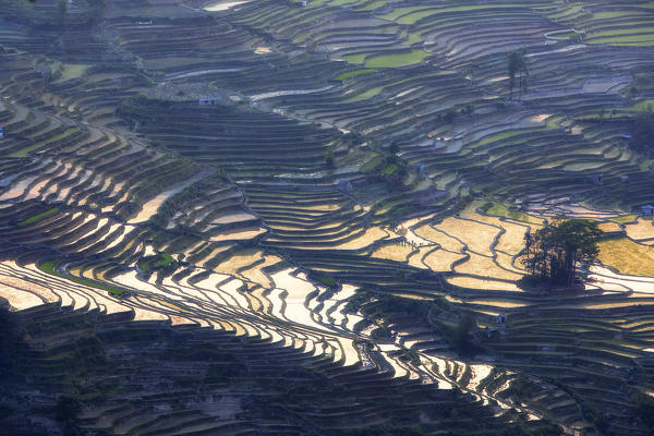 Bada rice terraces in yuanyang rice terraces area, Yunnan, Southern China, China