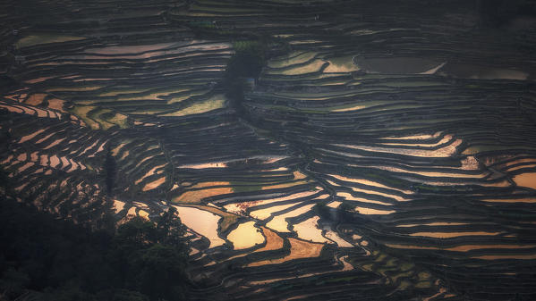 Bada rice terraces in yuanyang rice terraces area, Yunnan, Southern China, China
