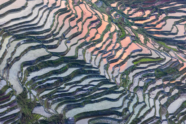 Bada rice terraces in yuanyang rice terraces area, Yunnan, Southern China, China