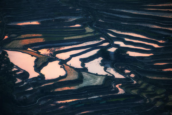 Bada rice terraces in yuanyang rice terraces area, Yunnan, Southern China, China