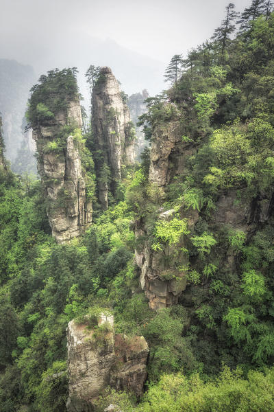 the steep cliffs of Yellow Stone Village,zhangjiajie national forest park, Hunan, China
