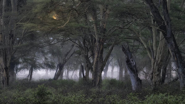 Lake Nakuru National Park, Kenya