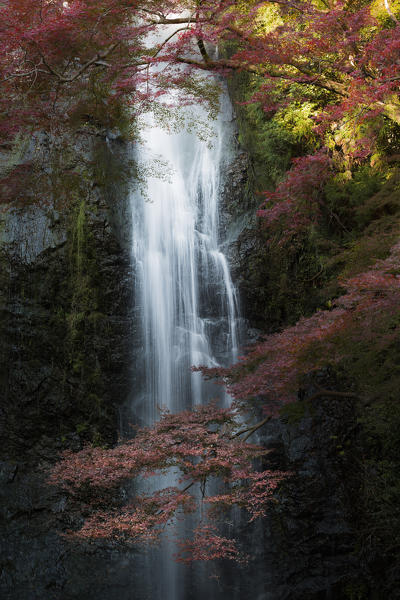 Minoo waterfall next to Osaka in autumn colors at sunset, Japan