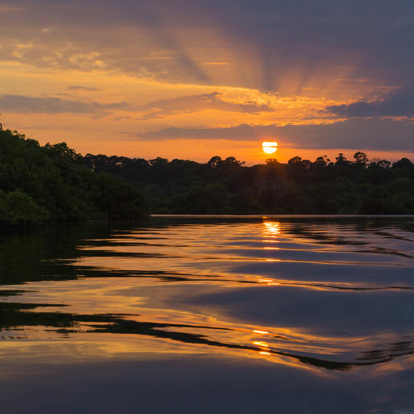 Rio Negro at sunset; near Manaus; Amazonia; Amazonas state; Brazil, South America