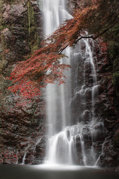 Minoo waterfall, Osaka, Honsho , Japan

