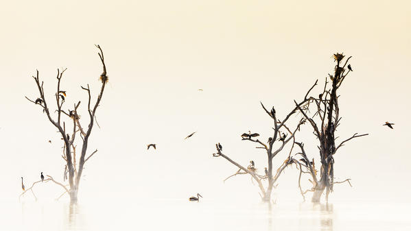 Lake Nakuru, Rift Valley, Kenya