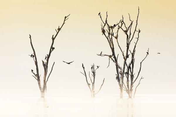 Lake Nakuru, Rift Valley, Kenya