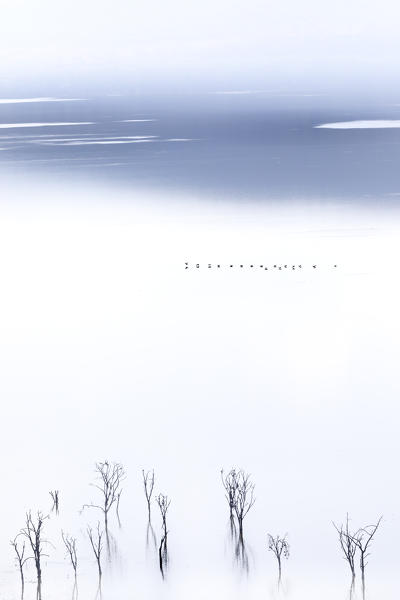 Lake Nakuru, Kenya, as seen from the viewpoint inside the national park. The haze during the hot hours creates the surreal view.

