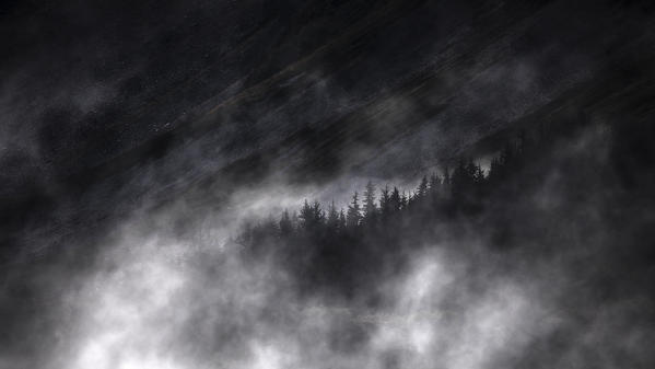 Chugach national forest, Kenai Peninsula, Alaska, United states of America ( usa ), North America
