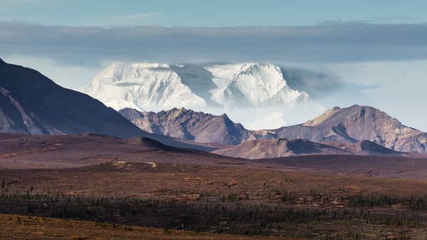 Denali (mount Mc Kinley), Denali National Park, Alaska, United States, North america

