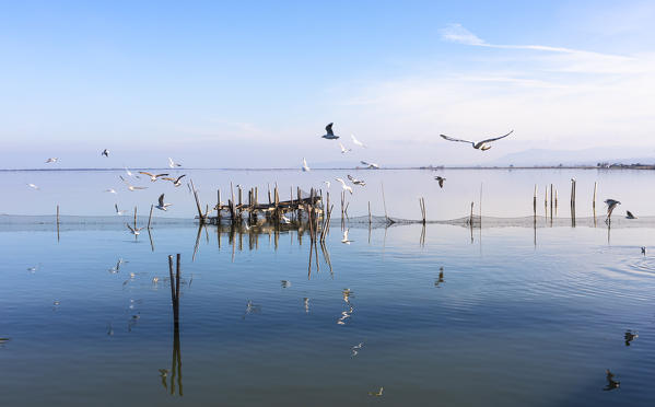 Lesina lake, Lesina village, Foggia district, Apulia, Italy