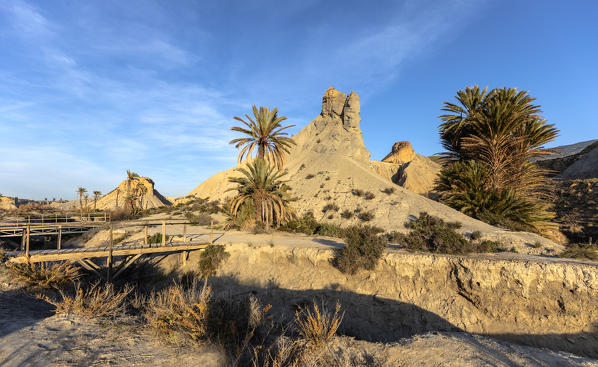 Oasis in Tabernas desert, Natural Park Sierra Alhamilla, Tabernas village, Almeria district, Andalusia, Spain