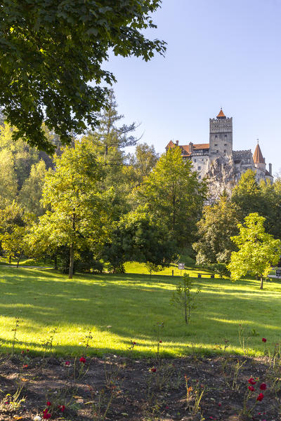 View of Bran Castle, Bran district, Transylvania, Romania