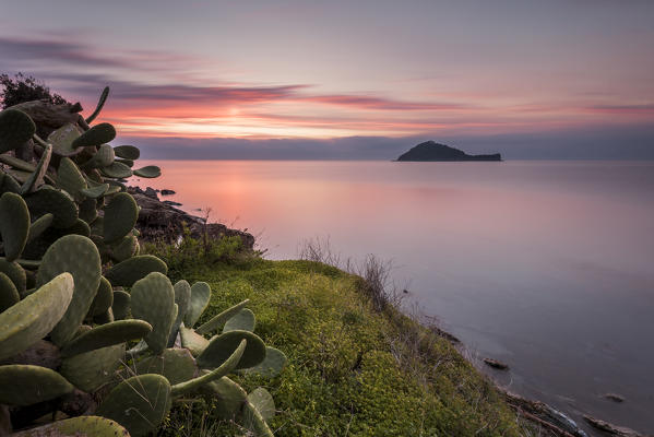 Island Gallinara, Alassio, province of Savona, Liguria, Italy, Europe